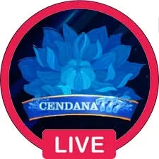 Review Aplikasi cendana777 Versi Terbaru